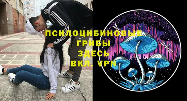 Альфа ПВП Алексин
