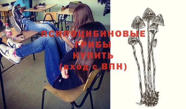 Альфа ПВП Алексин
