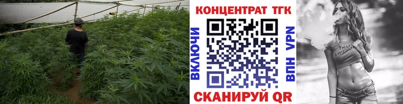 Дистиллят ТГК гашишное масло  Ефремов 
